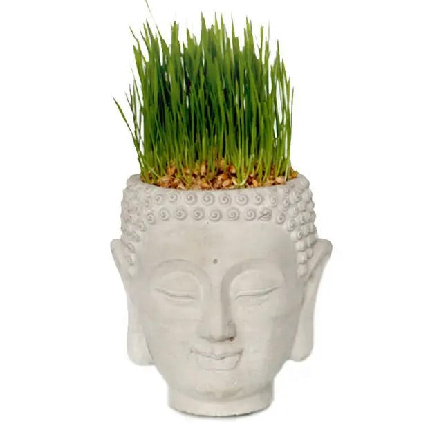 Buddha Head Planter