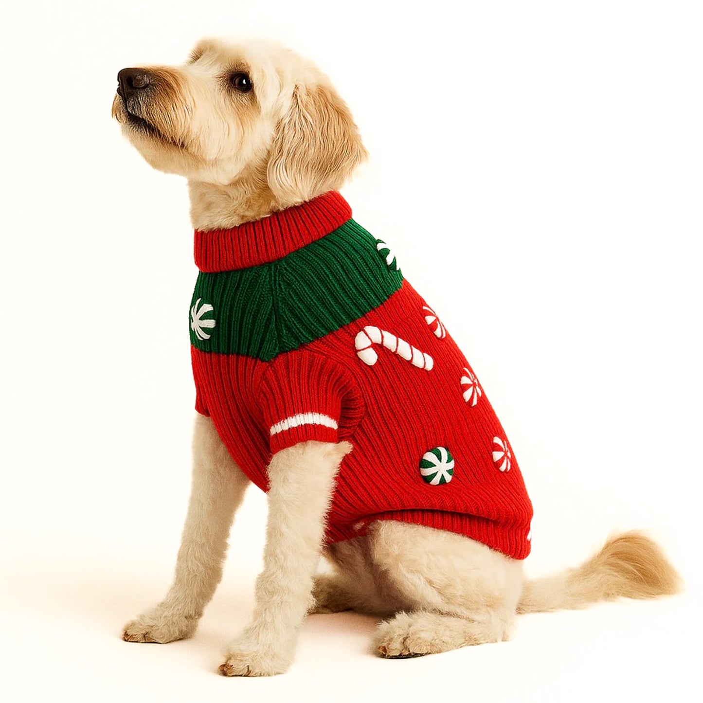 Peppermint Candy Dog Sweater