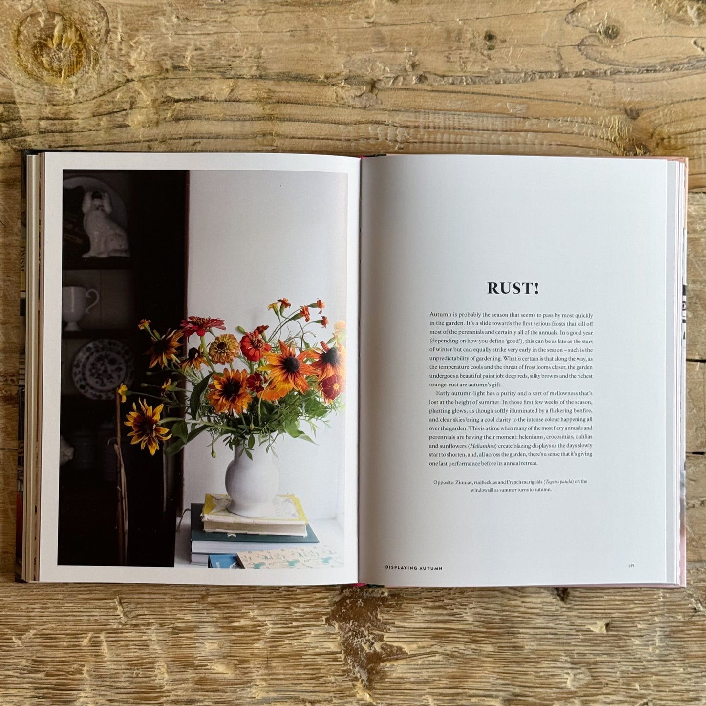Outside In: Flowers and Foliage Through the Year
