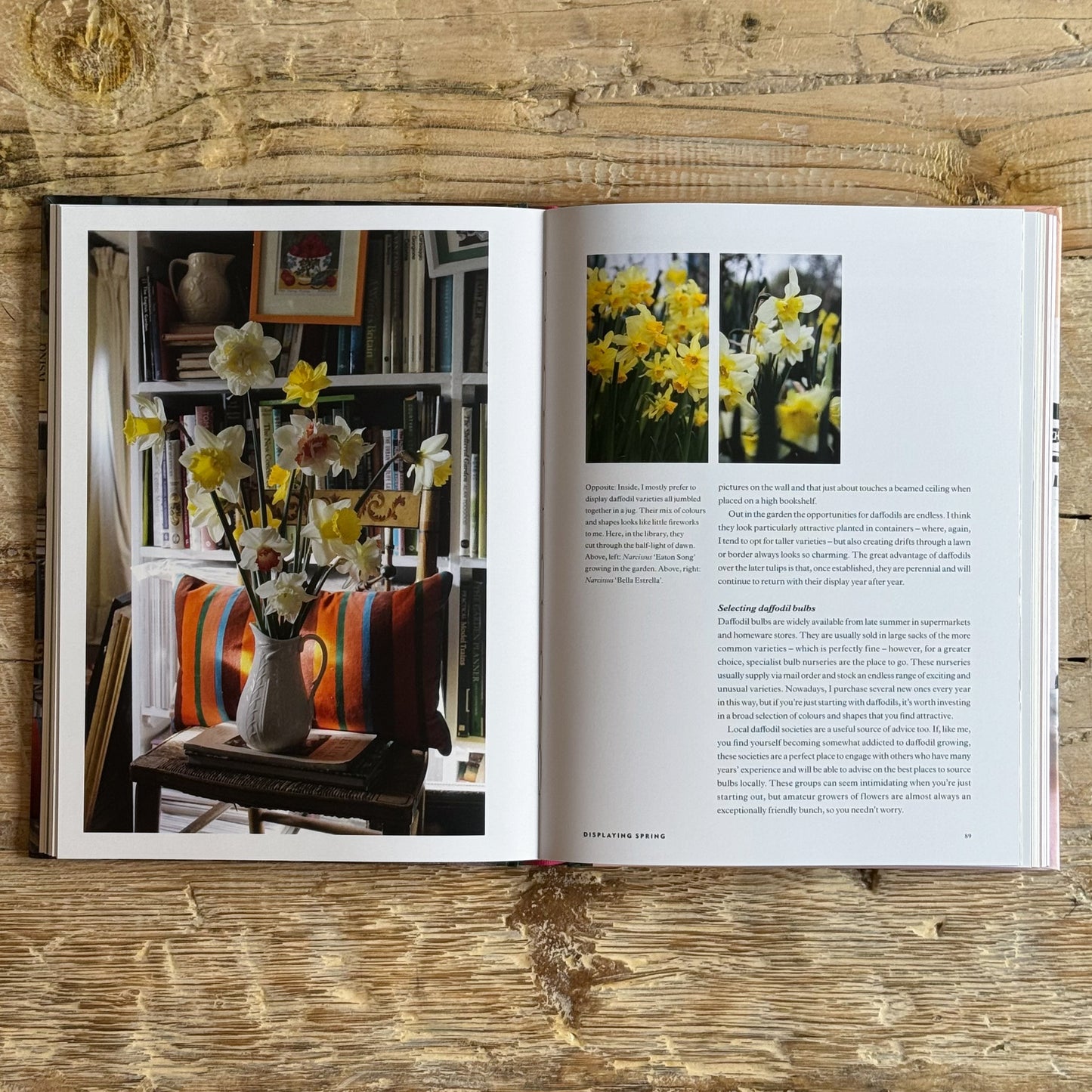Outside In: Flowers and Foliage Through the Year