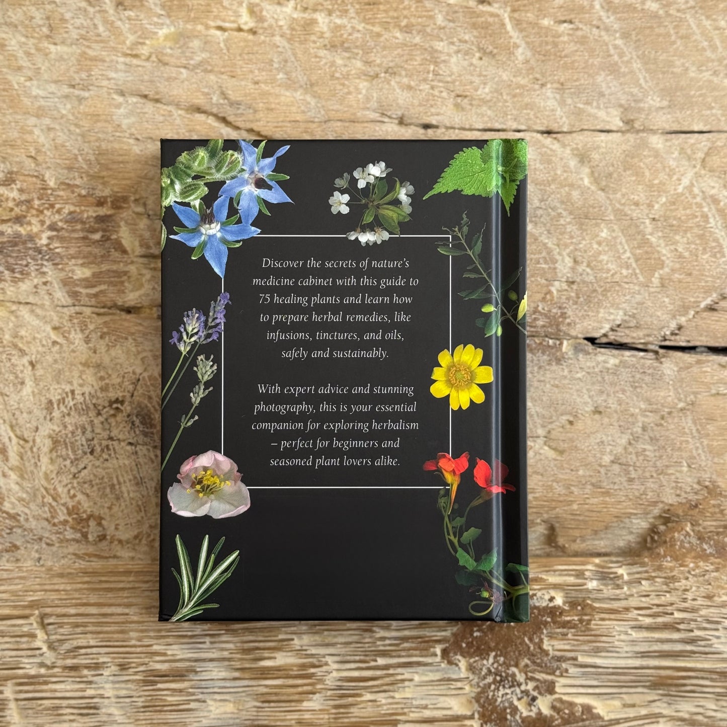 The Pocket Book of Plants That Heal