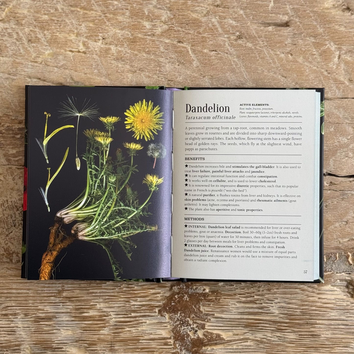 The Pocket Book of Plants That Heal