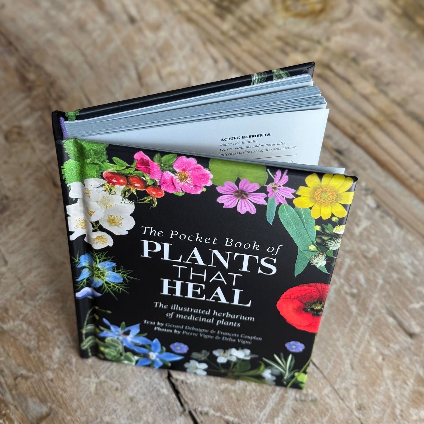 The Pocket Book of Plants That Heal