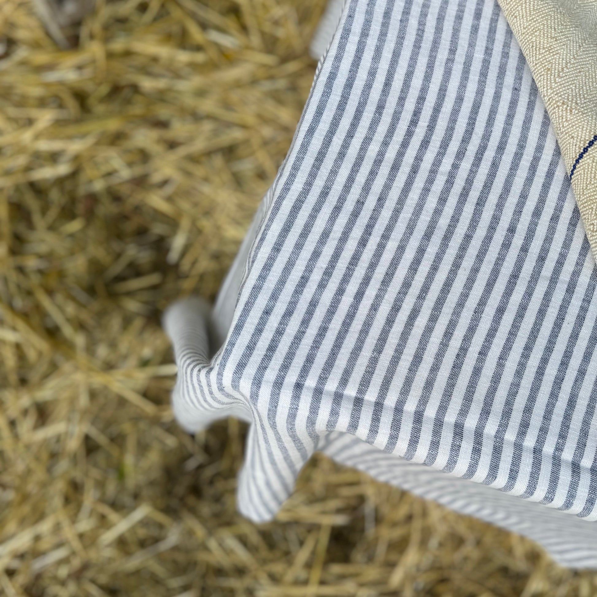 white  linen tablecloth with blue stripes