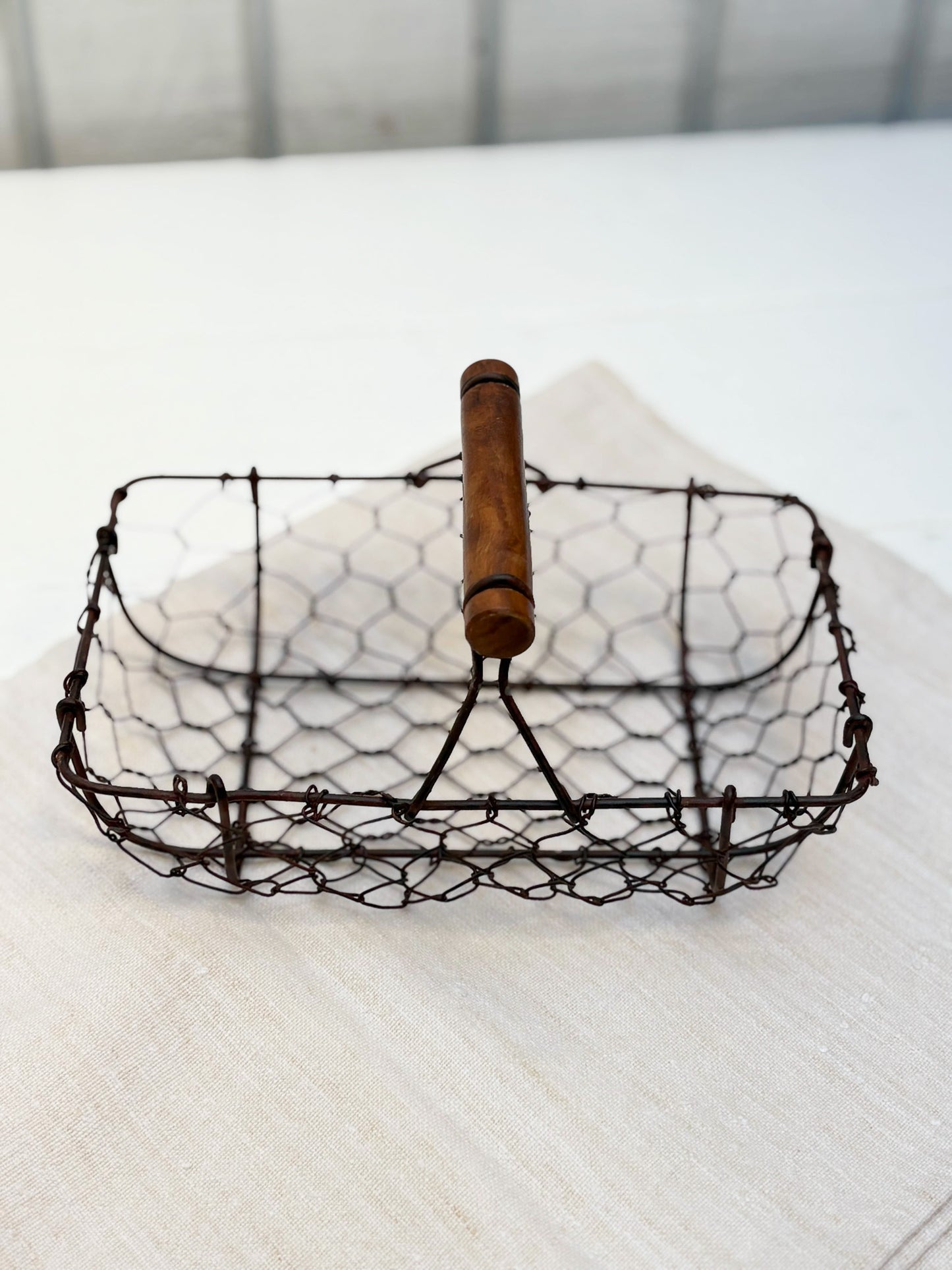 Chicken Wire Basket