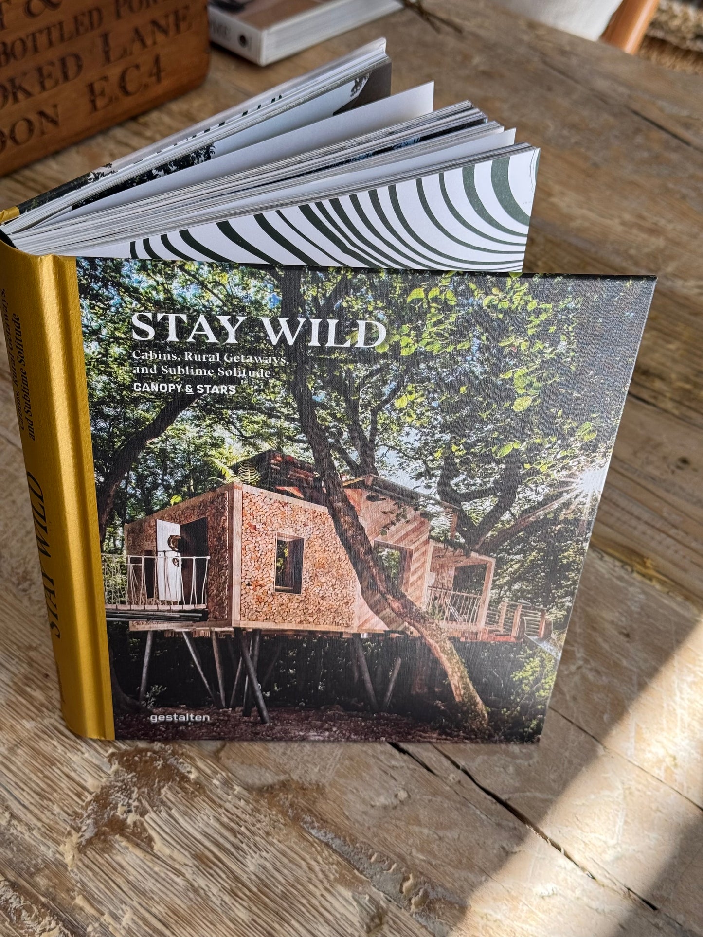 Stay Wild