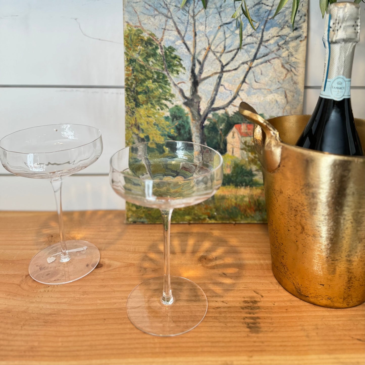 clear coupe shaped champagne glass with ridges