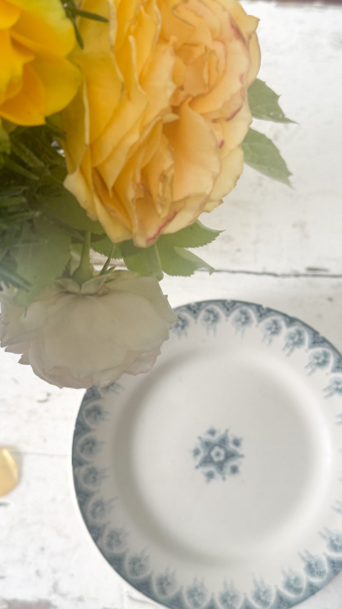 French Alger Antique Plate Set