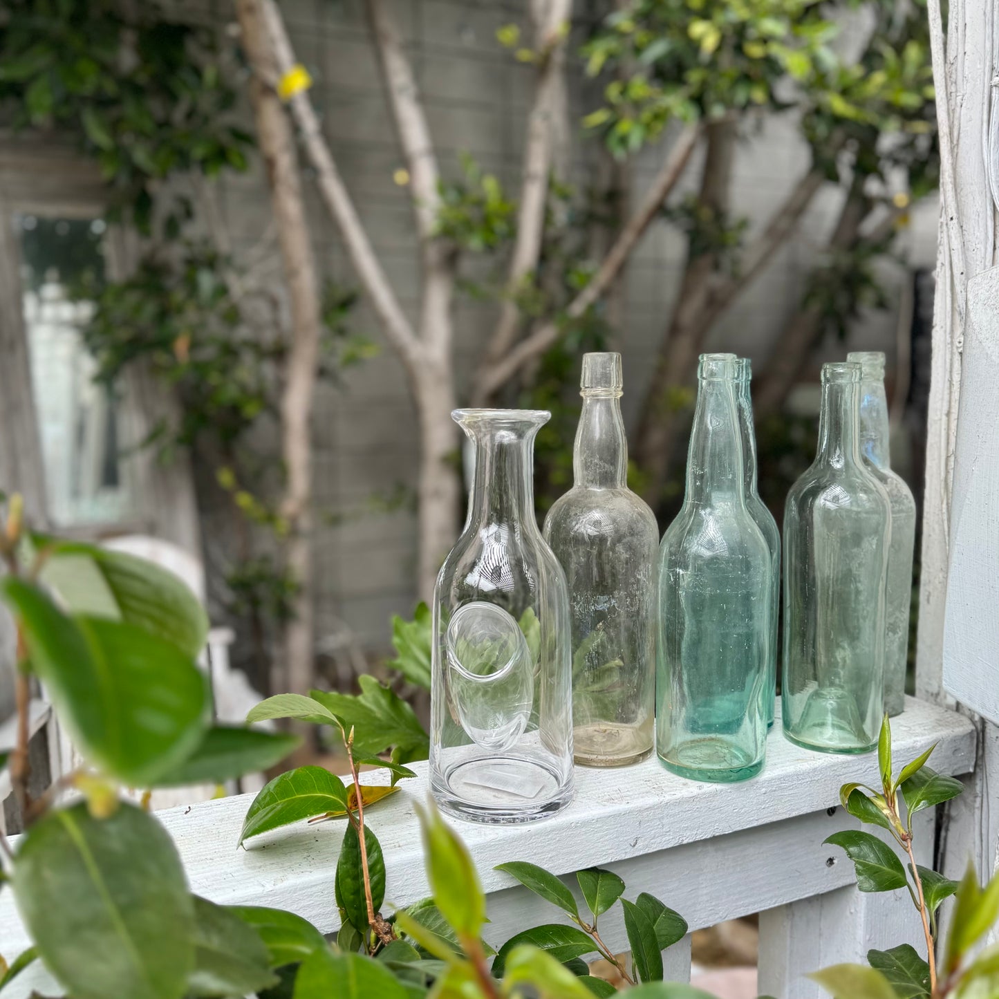 clear glass carafe with chamber for ice