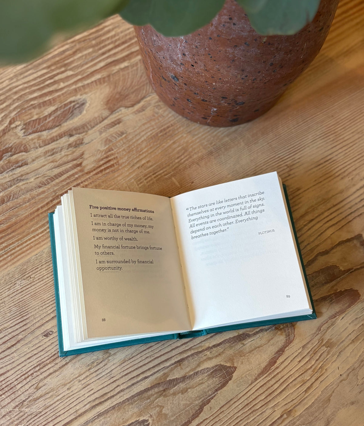 Little Book of Manifesting