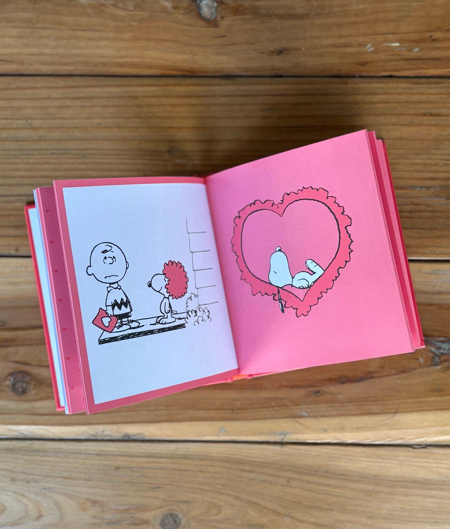 The Peanuts Guide To Love