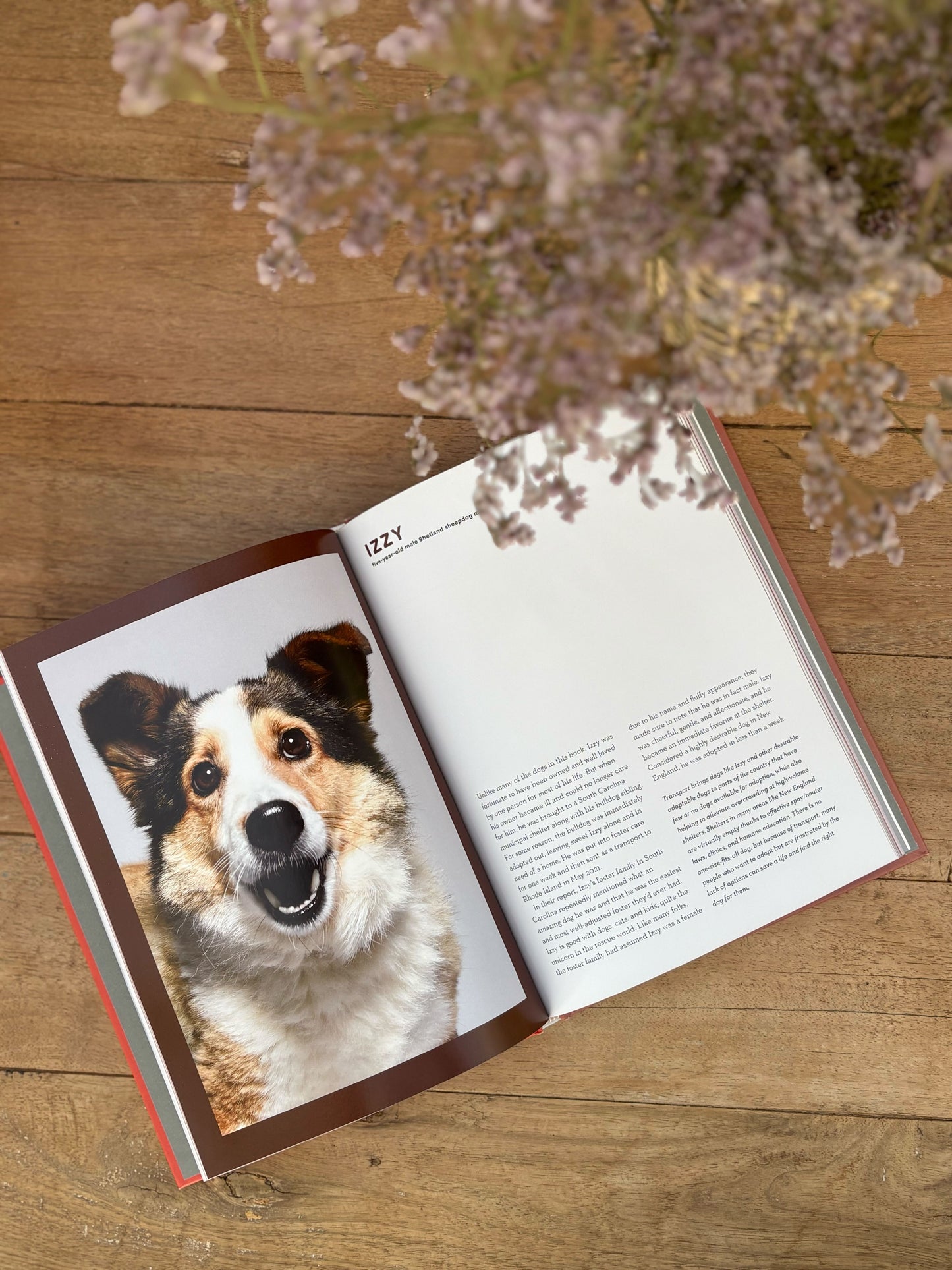 Open book on a wooden surface with a dog's face on one page and text on the other, accompanied by flowers.