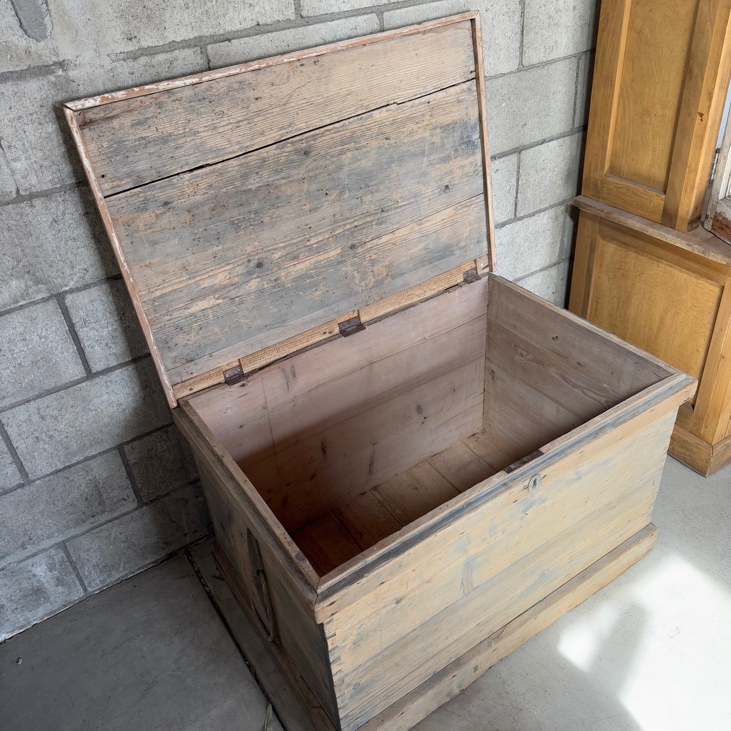 Olde English Pine Trunk