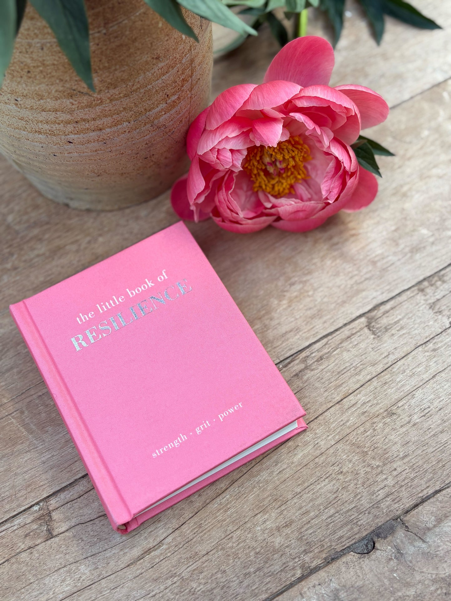 Pink book titled 'the little book of RESILIENCE' on a wooden surface with a pink flower and vase in the background.