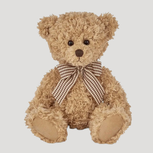 Theodore the Teddy Bear