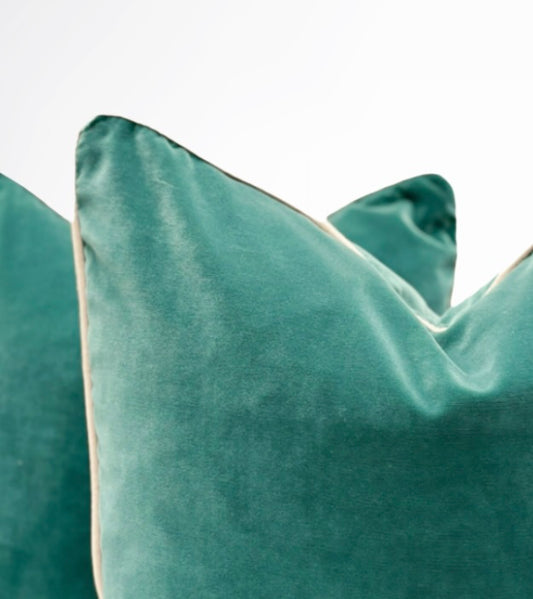 Sarcelle Velvet Pillow