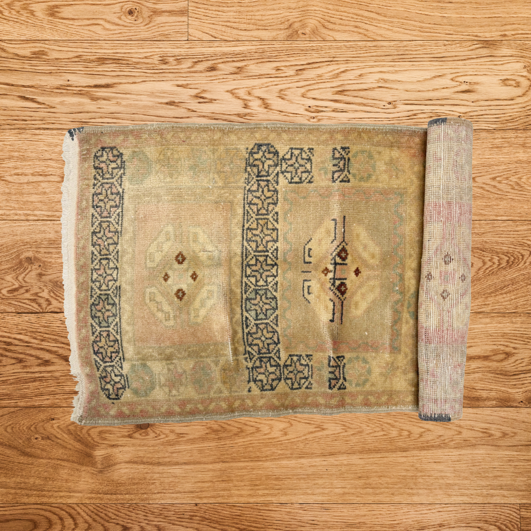 The Canyon Vintage Area Rug