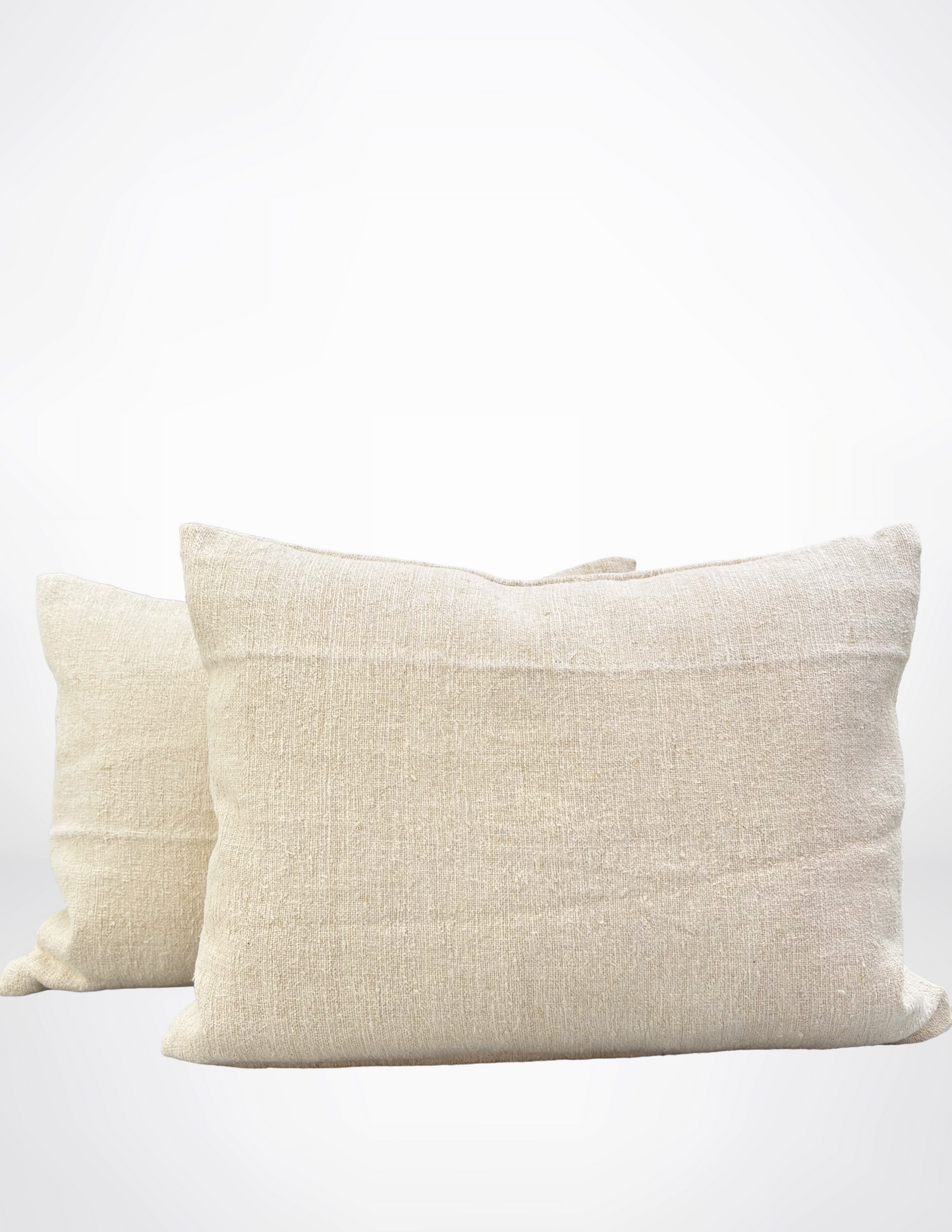 Two beige pillows on a white background