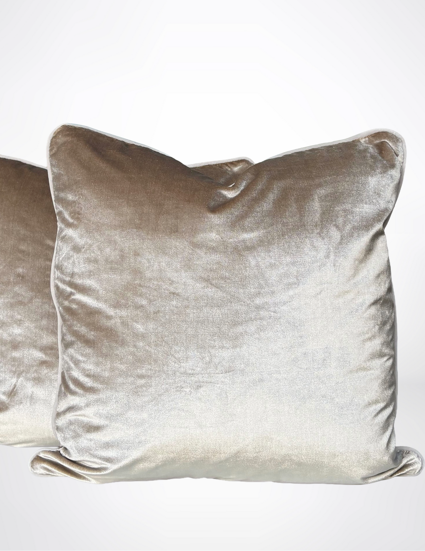 Vignette Velvet Pillow