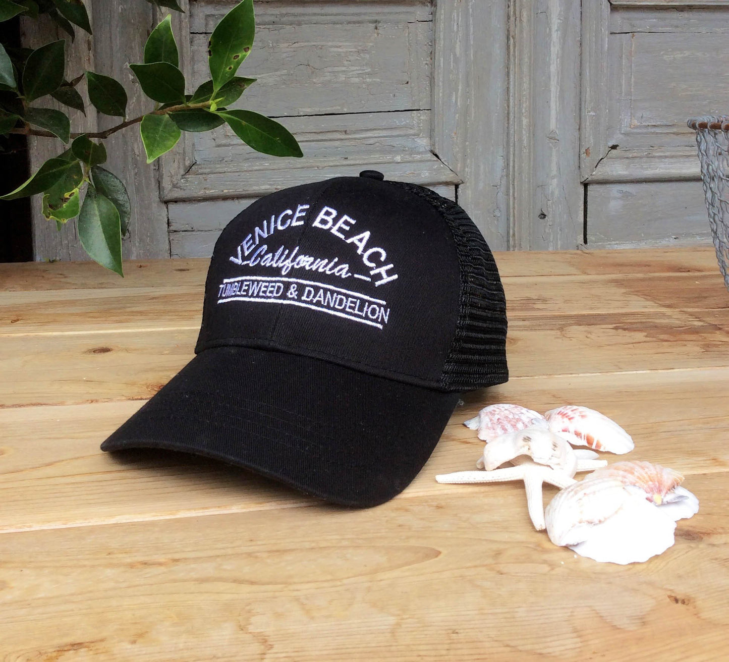 venice beach trucker hat black