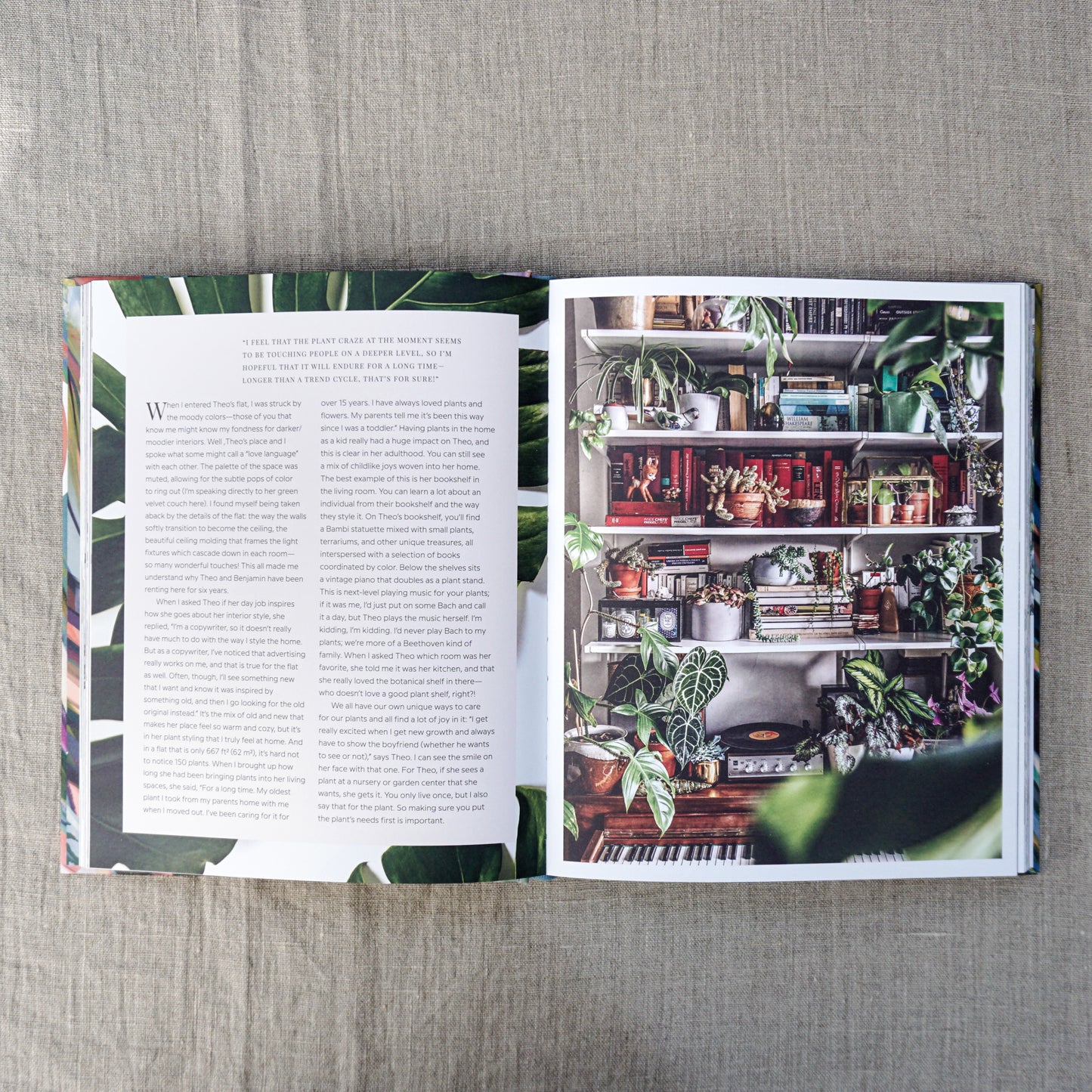 Wild Interiors