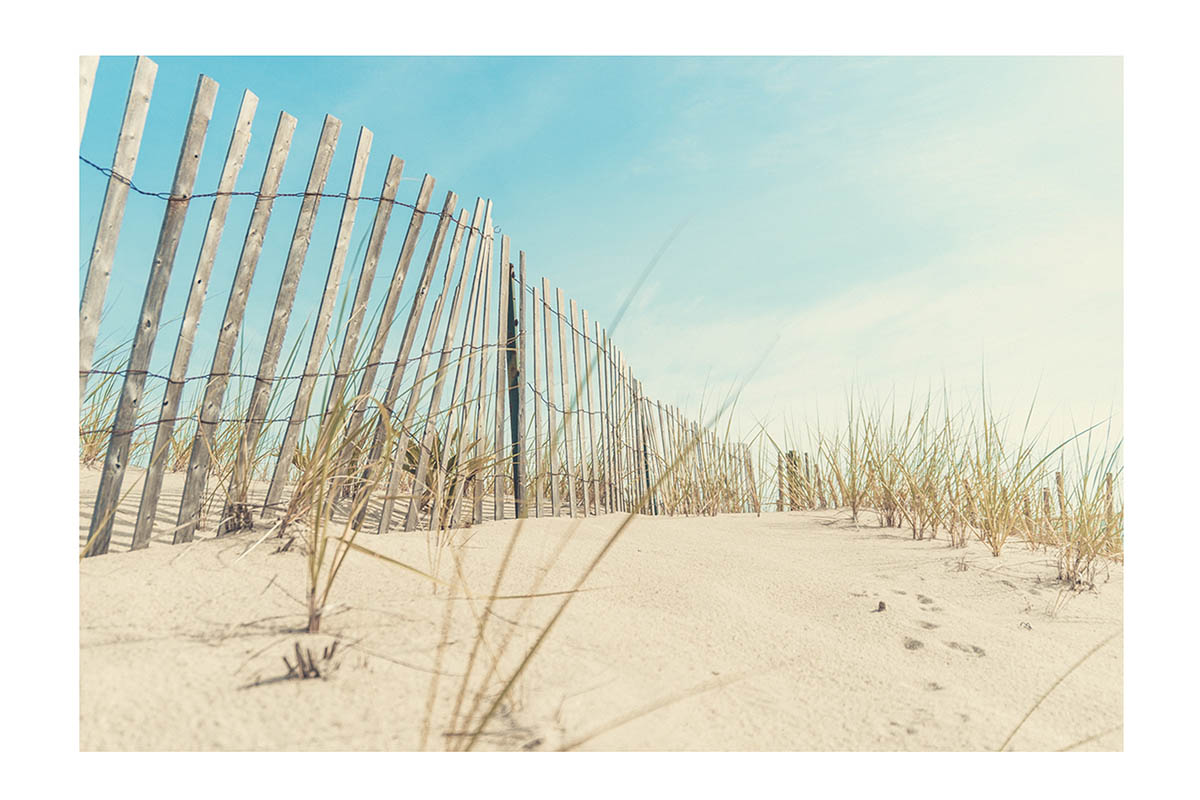 Cape Cod Photography Print #3