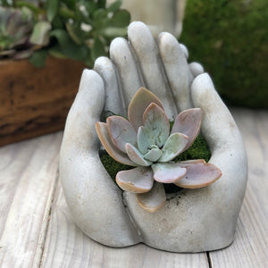 two stone hands together shaped as a bowl