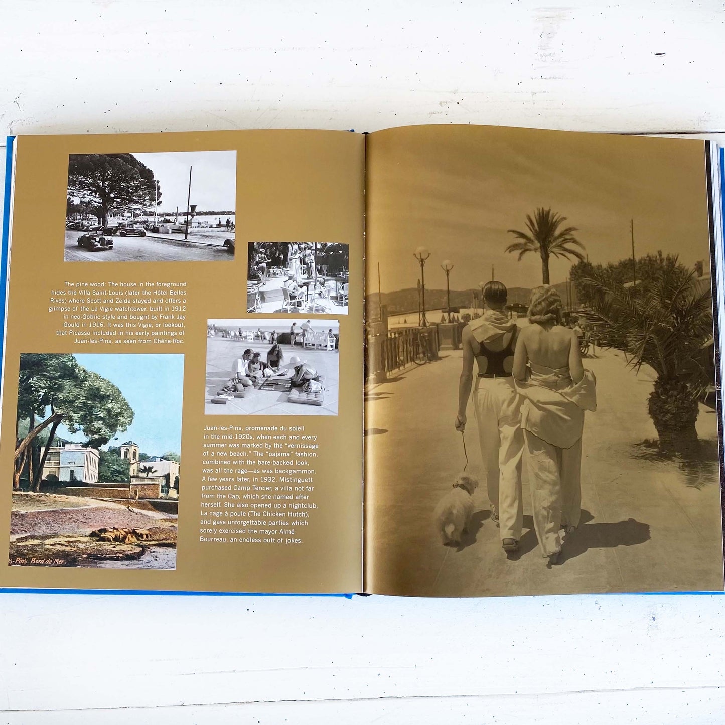 The French Riviera in the 1920's