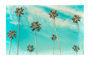 The Palms Photography Print