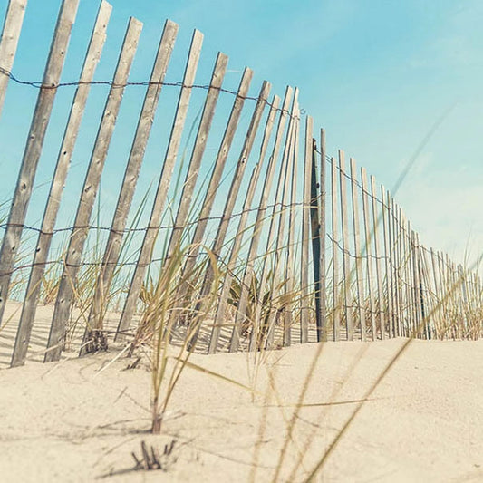 Cape cod beach scenes photography