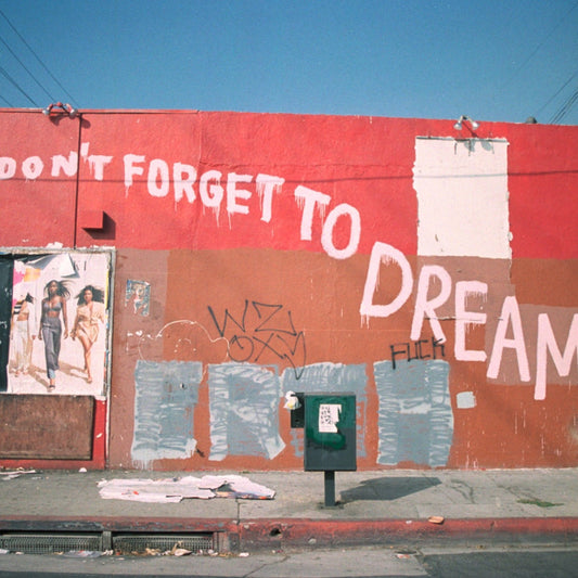 photograph of side of building that is painted red and brown with the words "don't forget to dream"