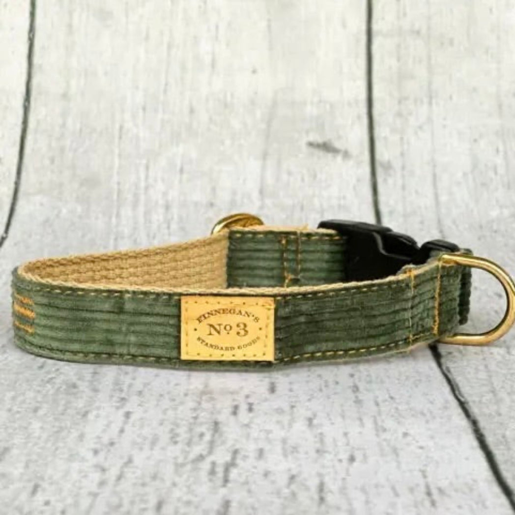 Green dog collar with a gold tag on a wooden surface