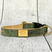 Load image into Gallery viewer, Green dog collar with a gold tag on a wooden surface