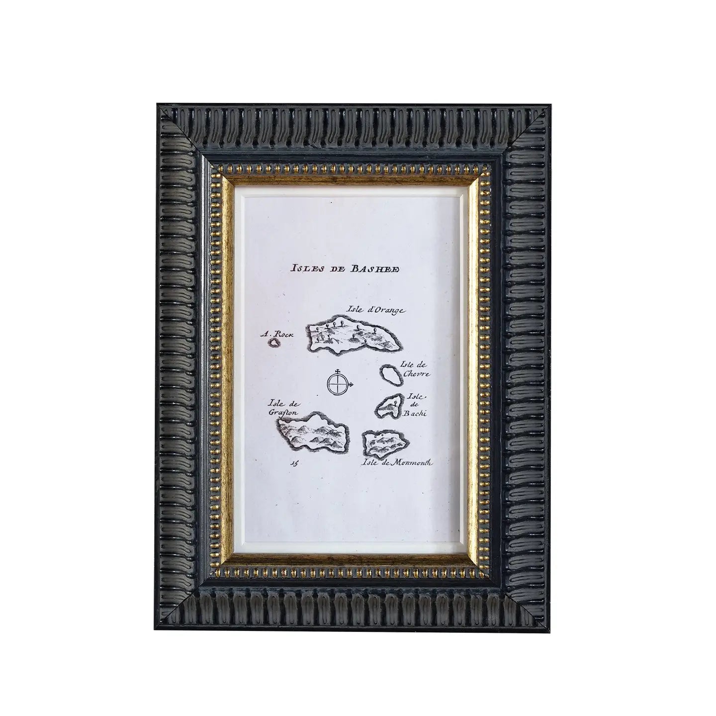 A picture frame with a black scallop-textured design transitioning to a bright gold raised-circle perimeter, containing a vintage art-paper print of an early explorer’s journal drawings.