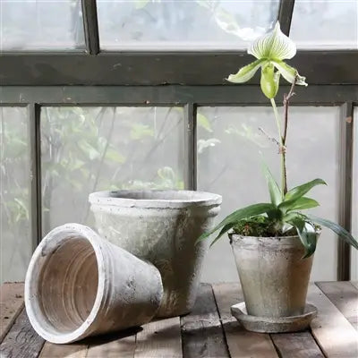 Rustic Terra Cotta Tomato Pot