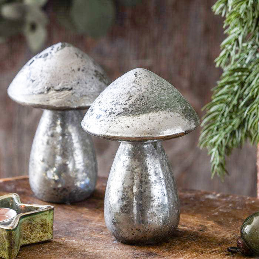 Boral Silver Mushroom