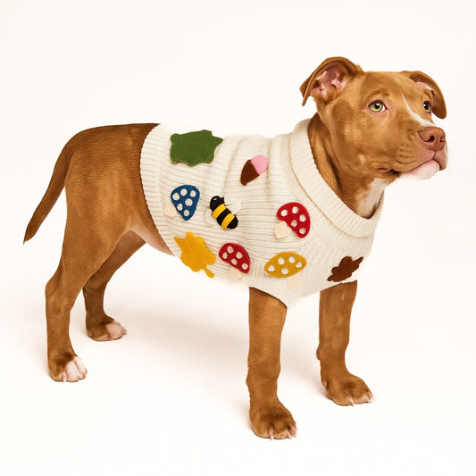 Fall Leaves Dog Sweater