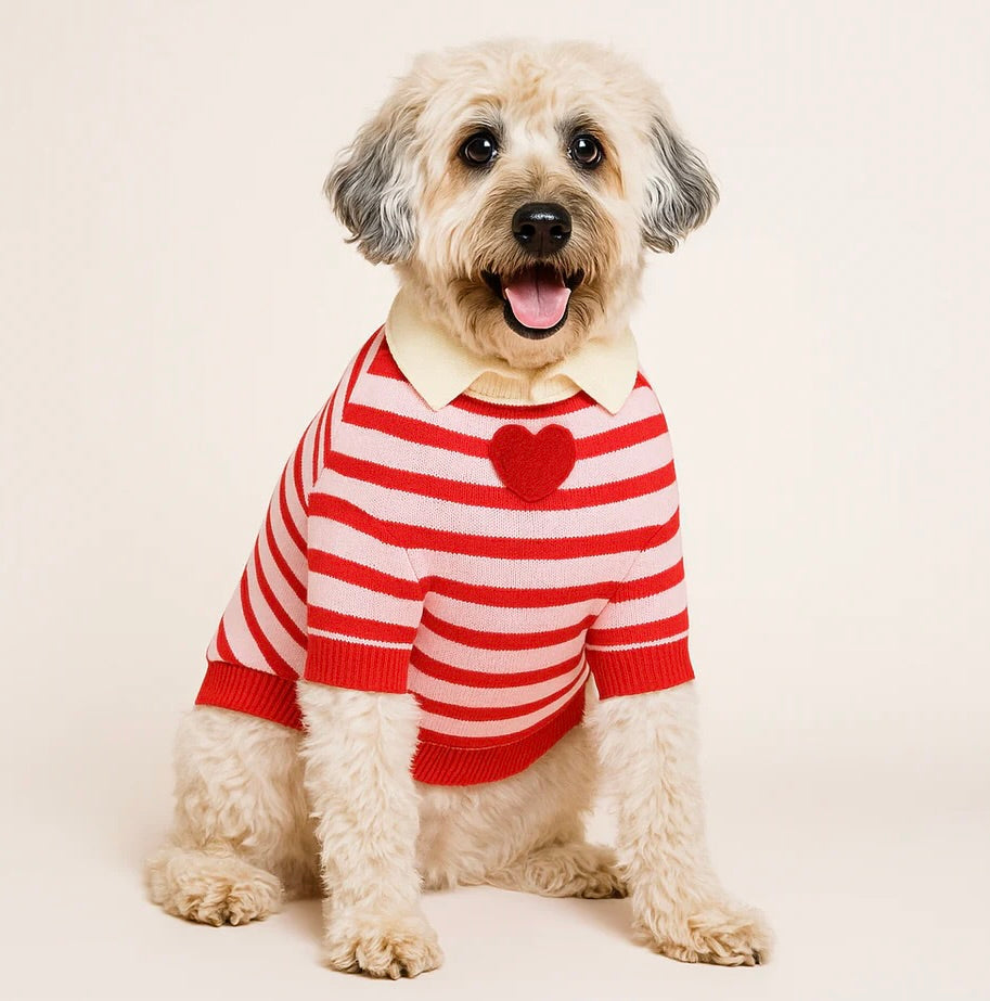Pet Striped Heart Sweater