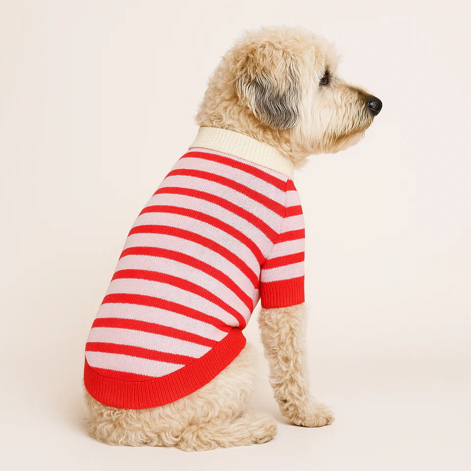 Pet Striped Heart Sweater