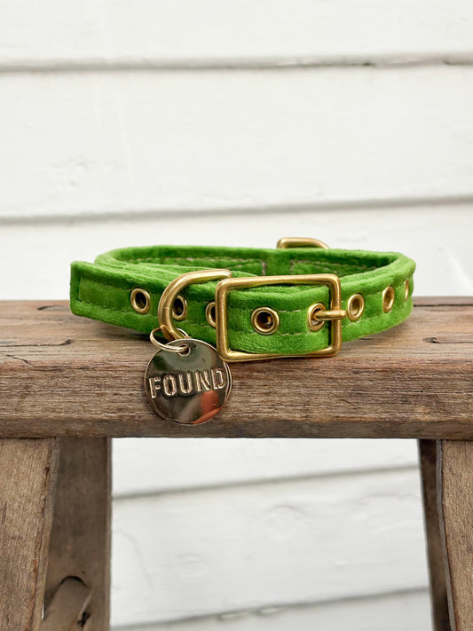 Velvet Cat+Dog Collar-Lime