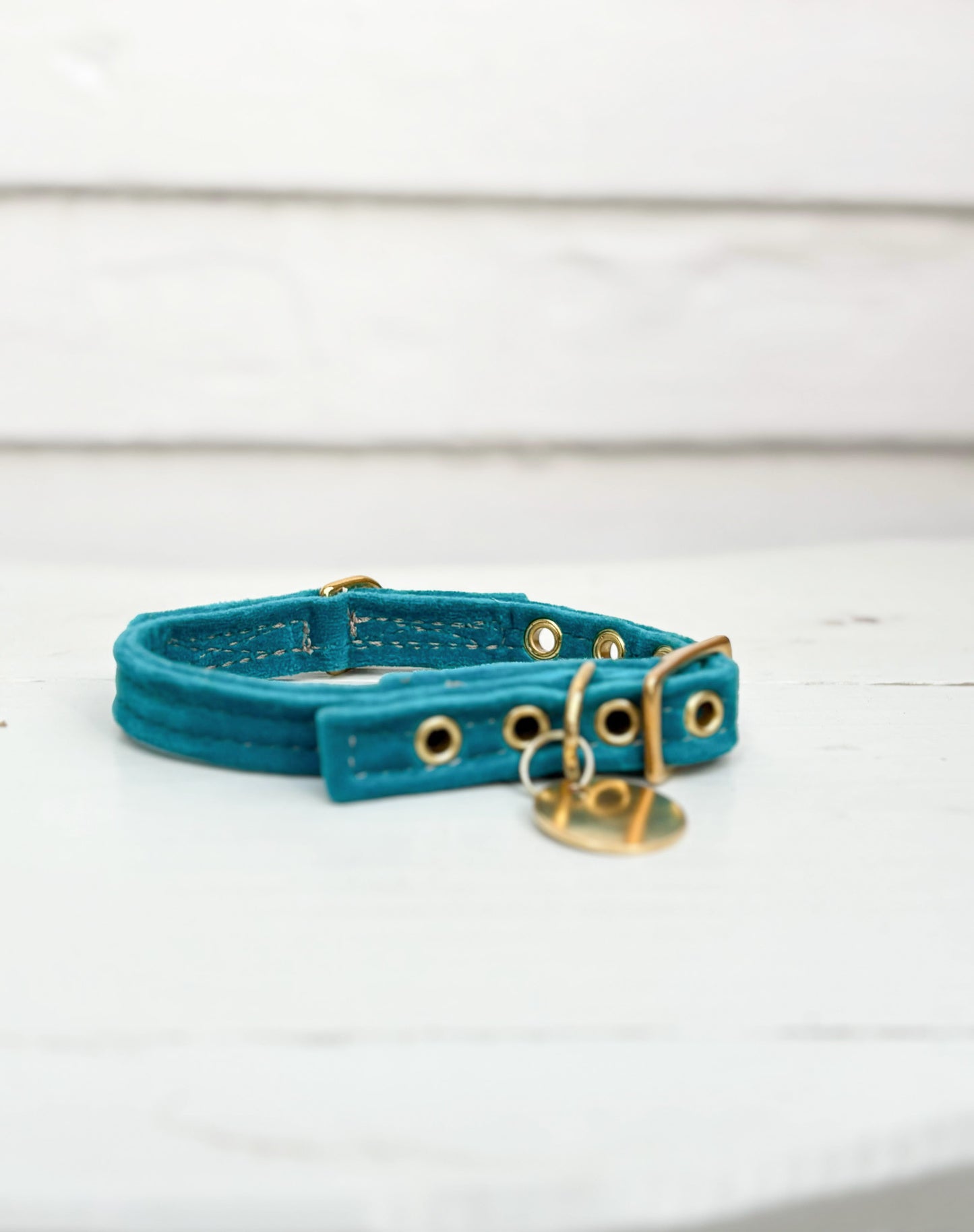 Velvet Cat+Dog Collar-Aqua