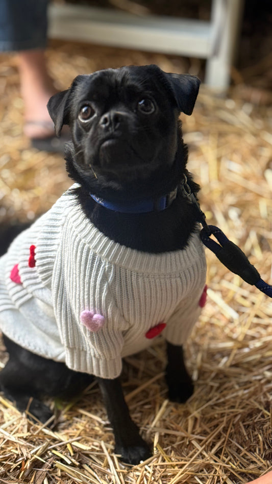 Pet Cream Heart Sweater