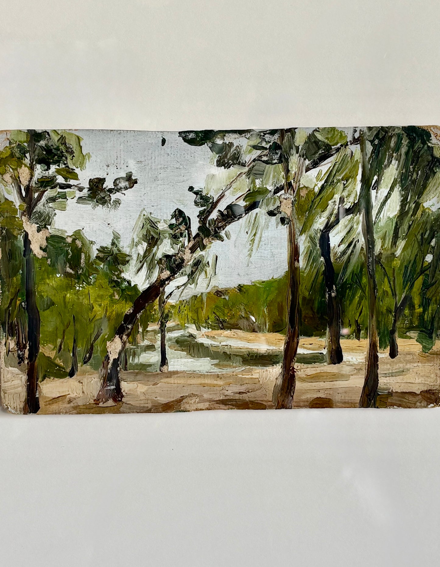 Landscape
