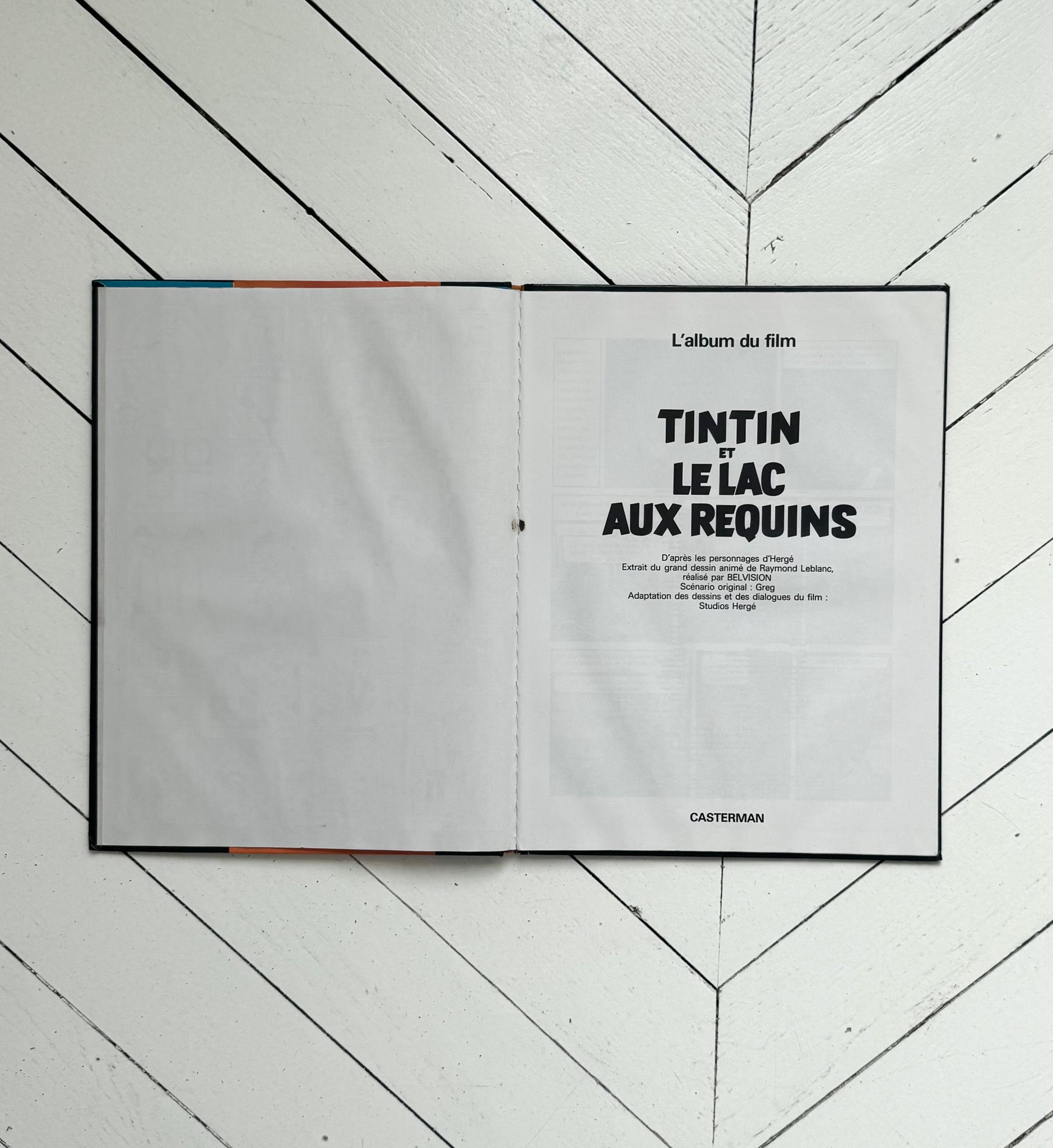 Open book with text on a white wooden floor
