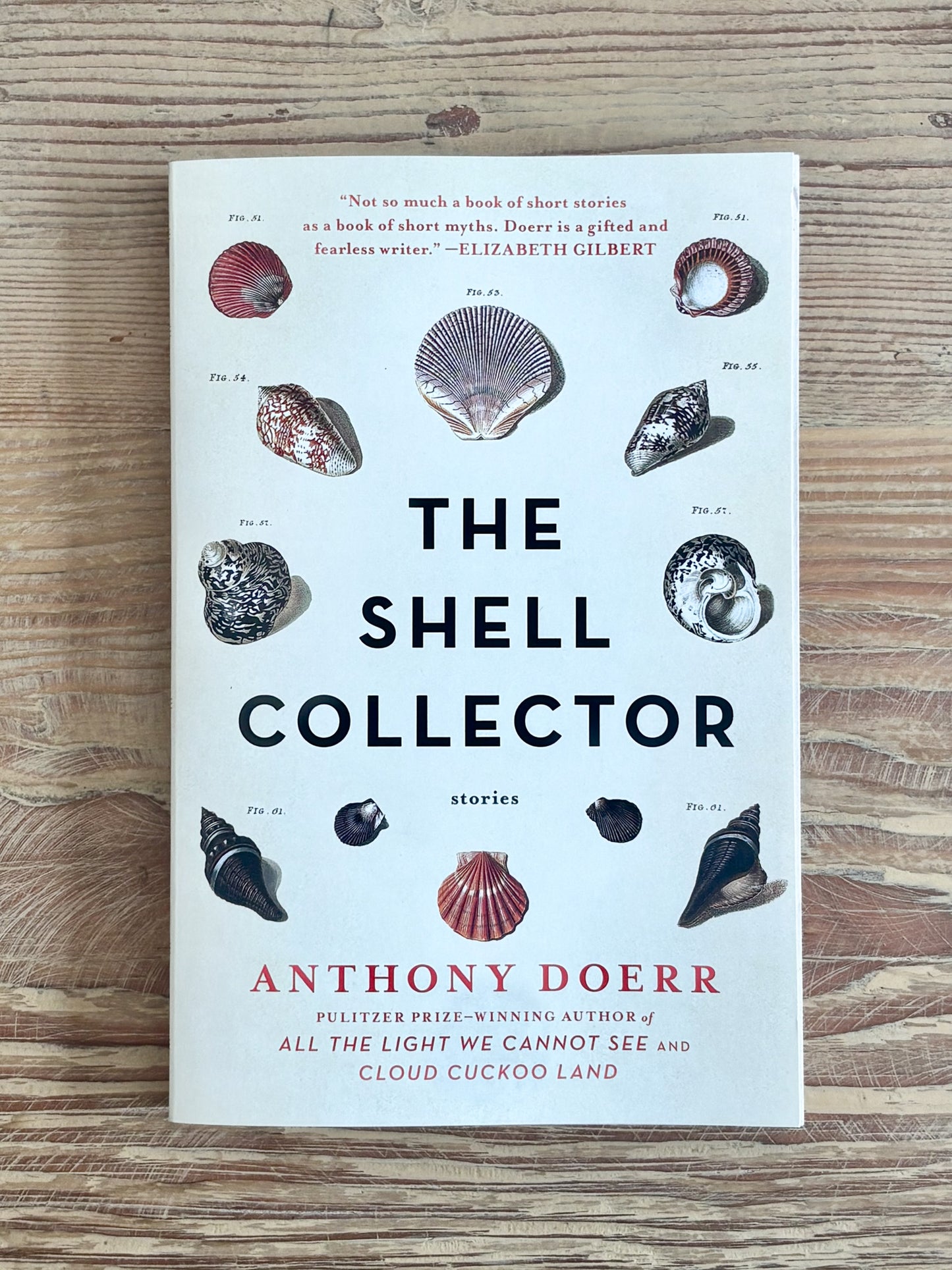 The Shell Collector