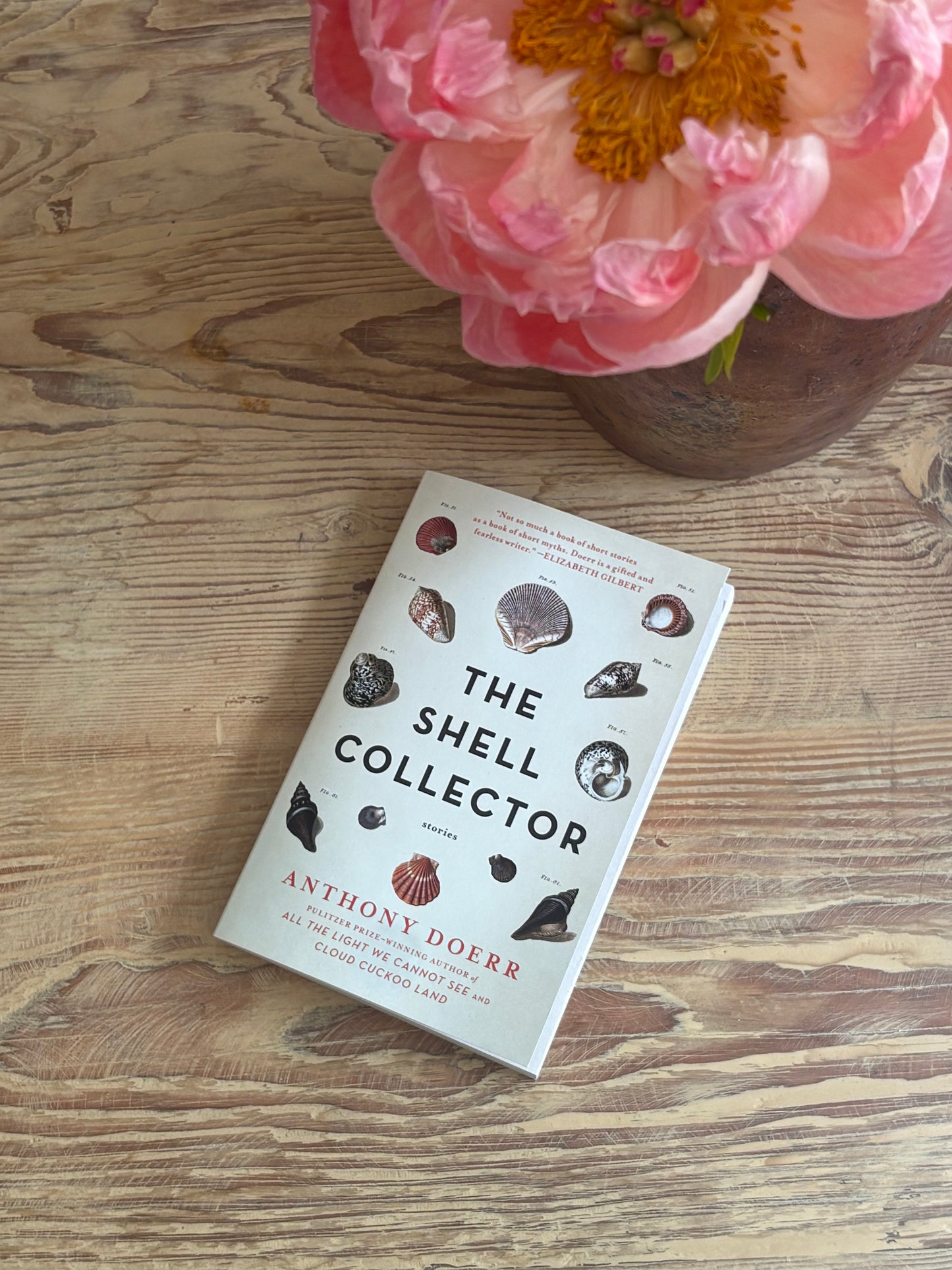The Shell Collector