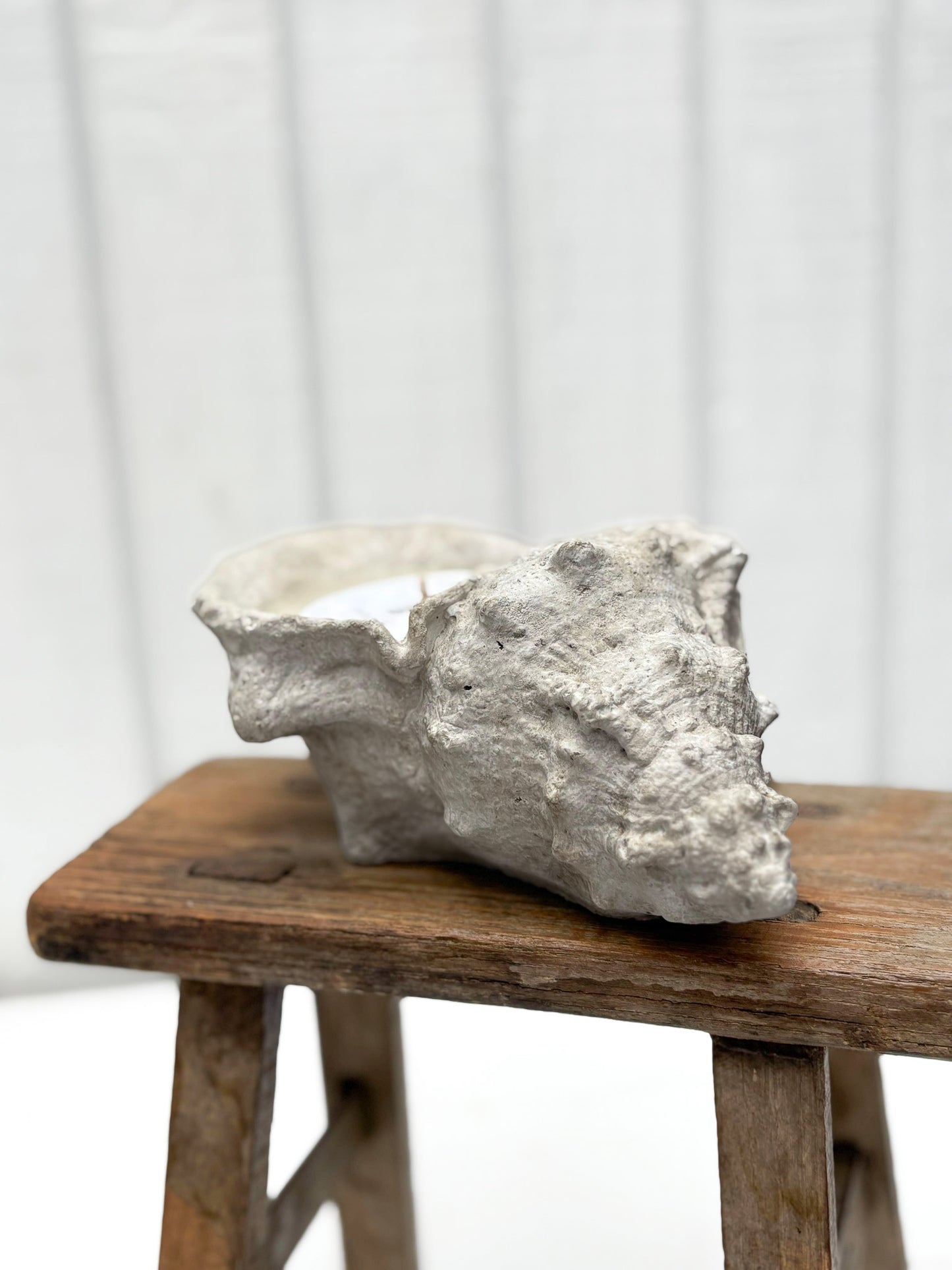 Concrete Shell Candle