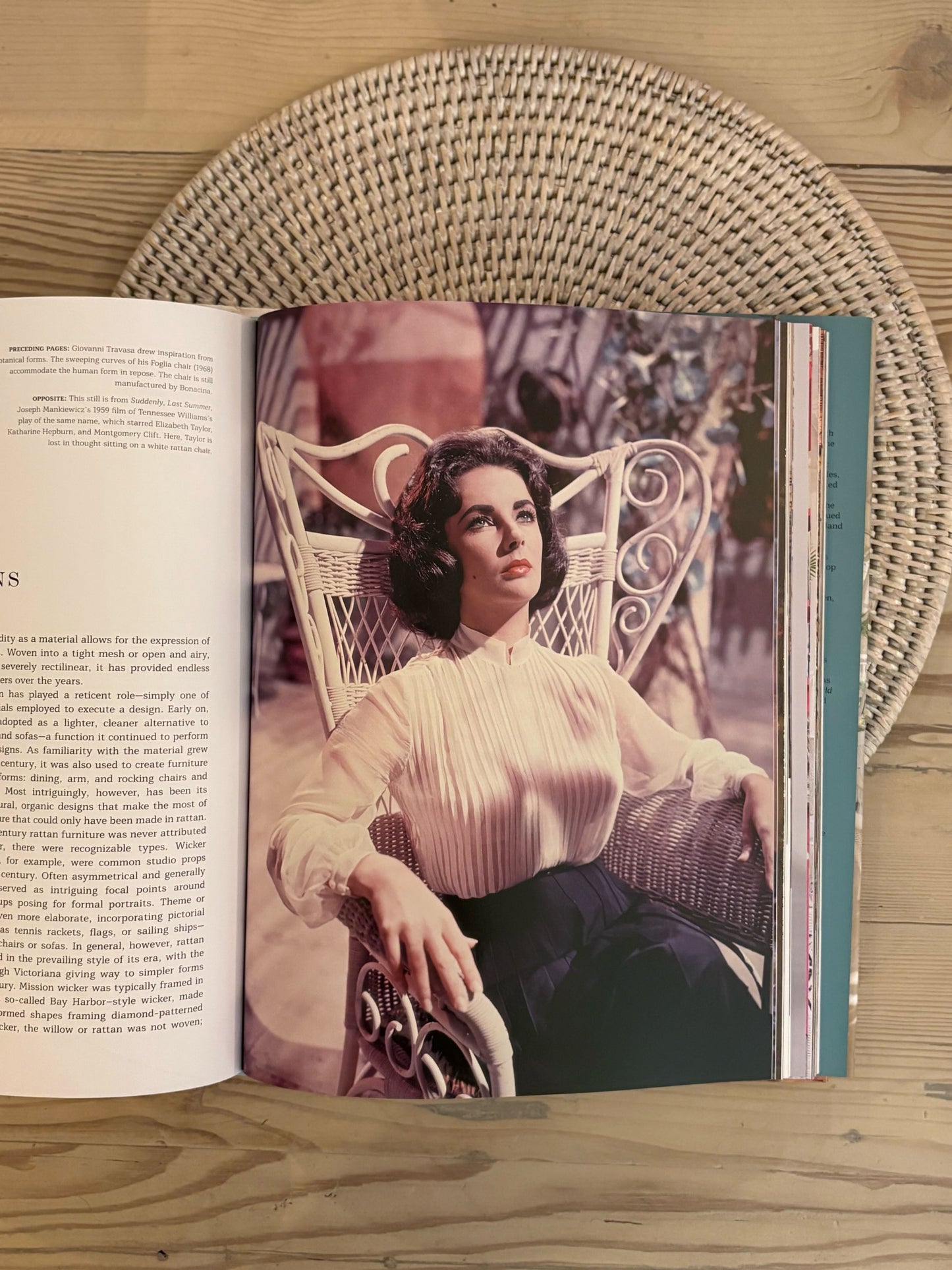 Rattan-A World of Elegance and Charm