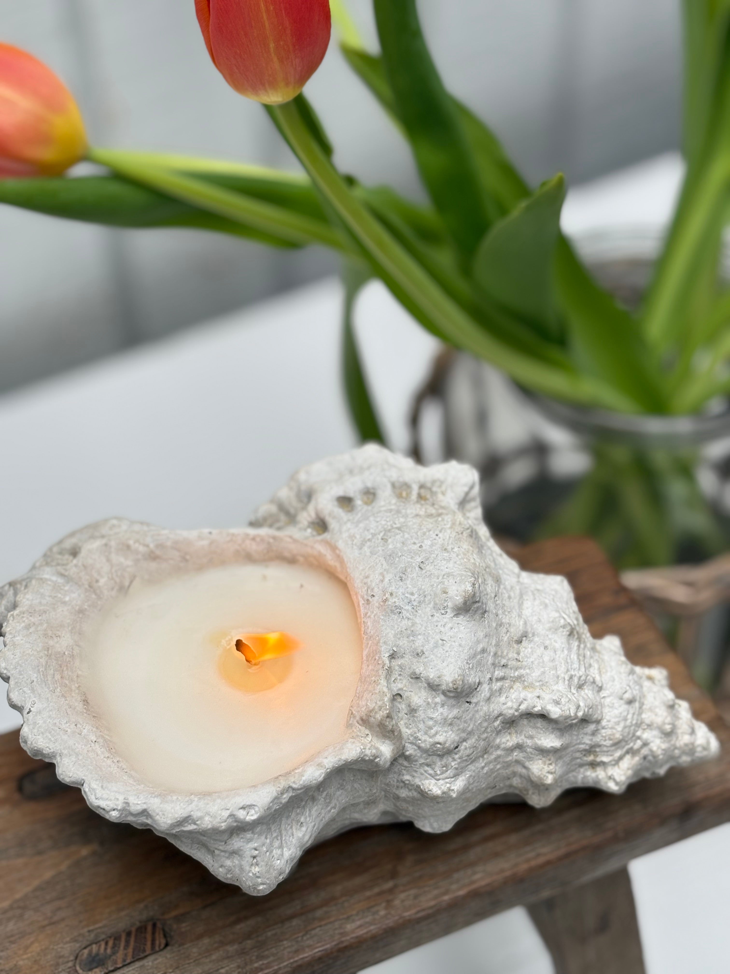 Concrete Shell Candle – Tumbleweed & Dandelion LLC