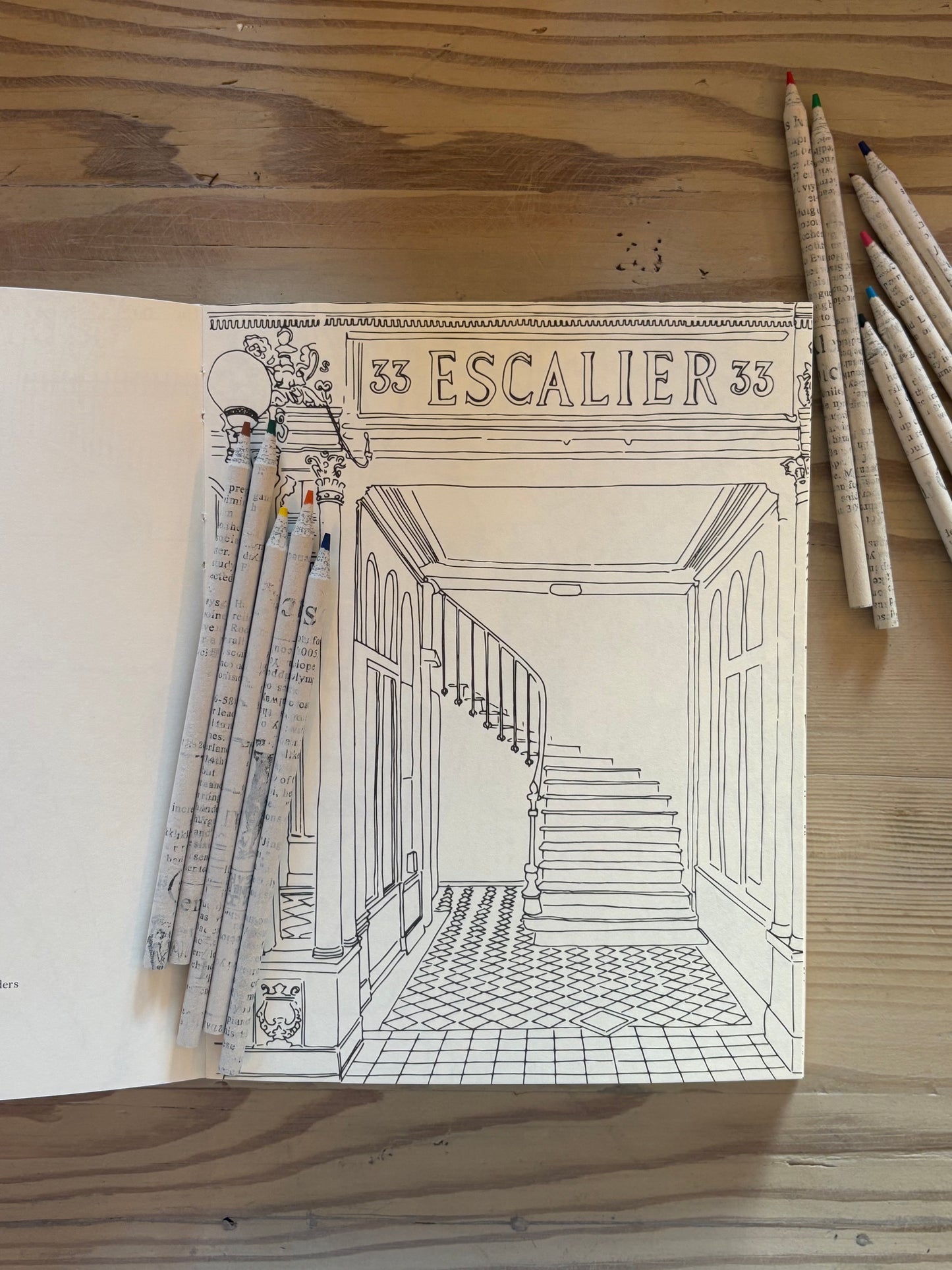 Zoe de Las Cases Paris Coloring Book